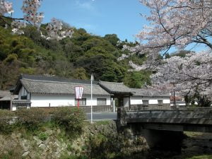 A Canadian’s experience of Oda city (1)